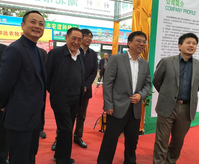 湖北一*猪种**拍出6.8万元——第十七届中国武汉*猪种**拍卖会硕果满枝