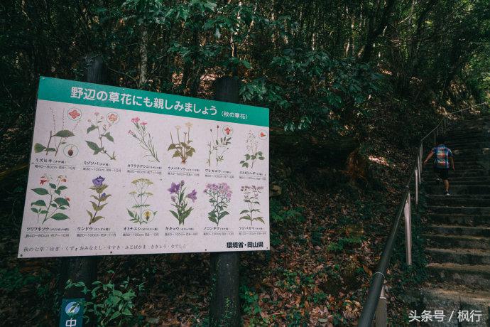 日本枯山水哪里最多,日本十大自然风光