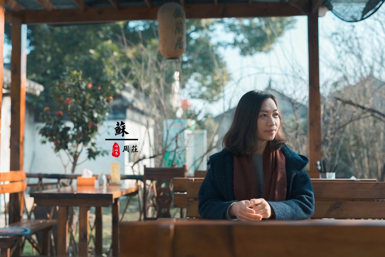 蹇冨績鍐棩灏忚,蹇冨績鍐棩