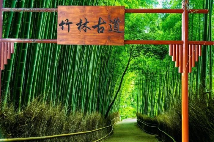 双十一｜光棍节，惠州紫溪半岛*光脱**攻略