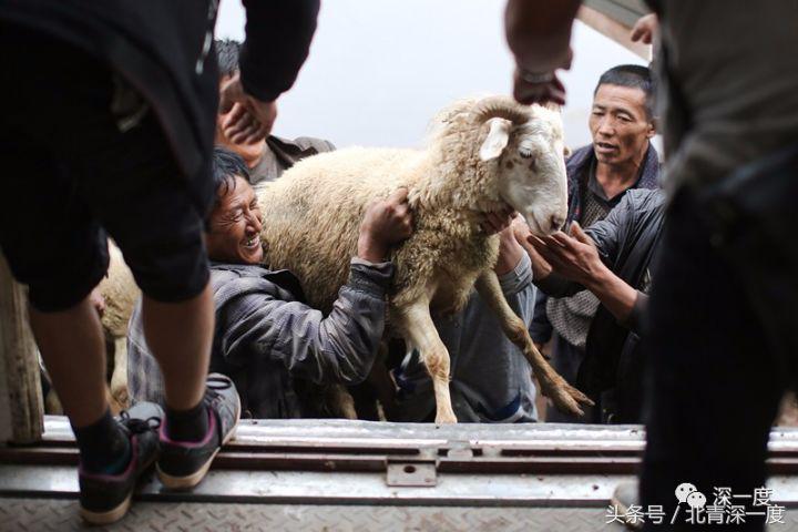 全中国最便宜的火车：票价2元起22年未涨，山羊和鸡群都能上车