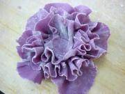 面塑入门自学教程,面塑冰墩墩制作教程