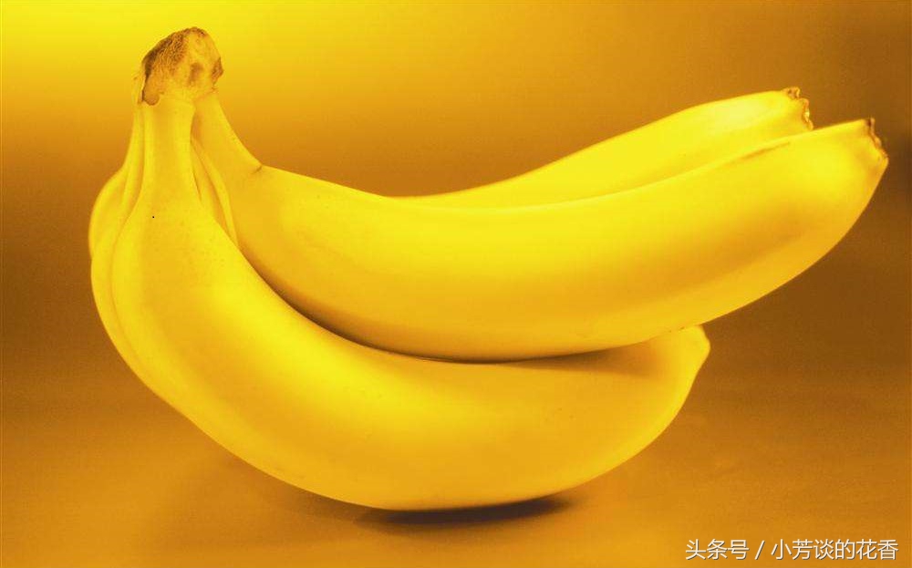 每天必吃十种水果,夏季必备5种健康水果