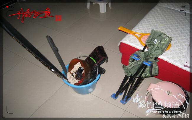 狂拉大板鲫的快乐,狂拉小鲫鱼钓鱼视频