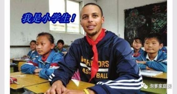 地球植物进化史,地球植物演化史时间轴