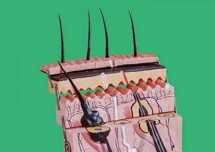 涂抹式水光针真的有用吗,涂抹式水光针能每天使用吗