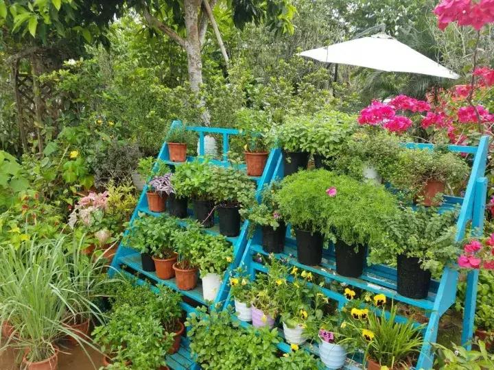 世界第二大薰衣草庄园,亚洲最大的薰衣草庄园