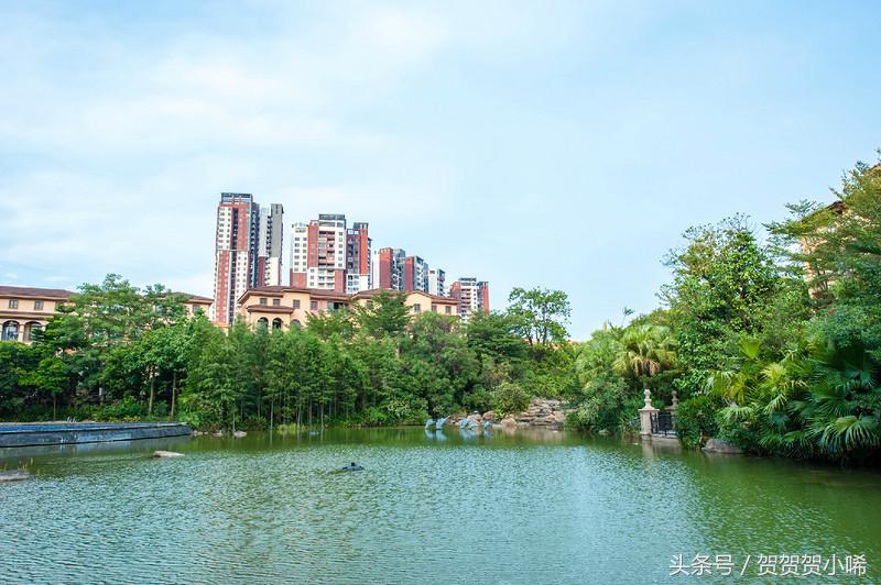 广州十大冷门自驾,广州自驾游最佳线路图最新