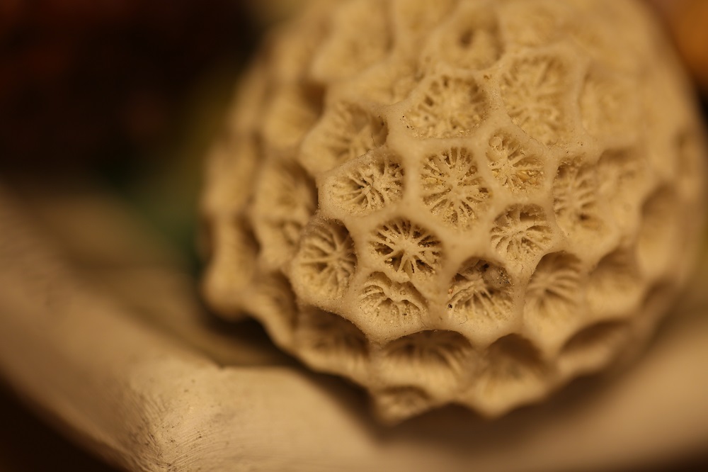 小蚁微单m1值不值得买,小蚁微单m1拍竖构图怎么全屏