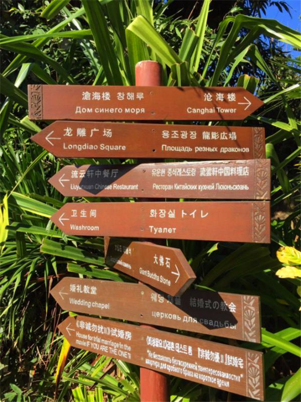 我到过许多地方是指哪里,我去过的地方皆是你看过的风景