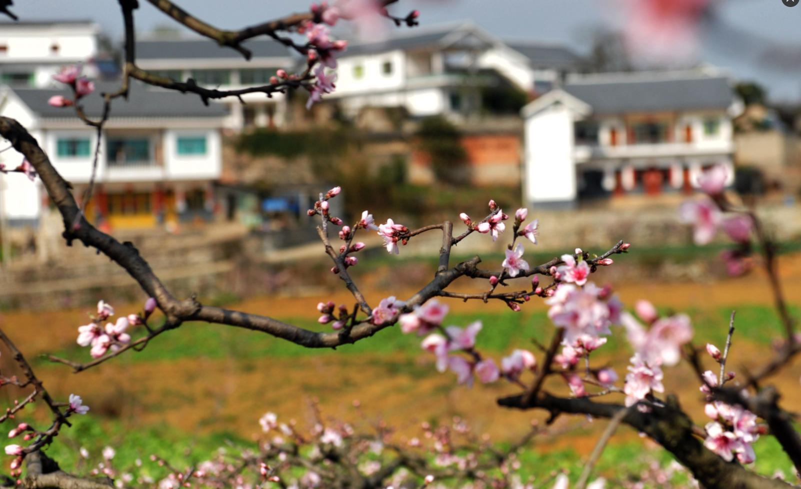 南明区美丽乡村建设,美丽乡村幸福农家
