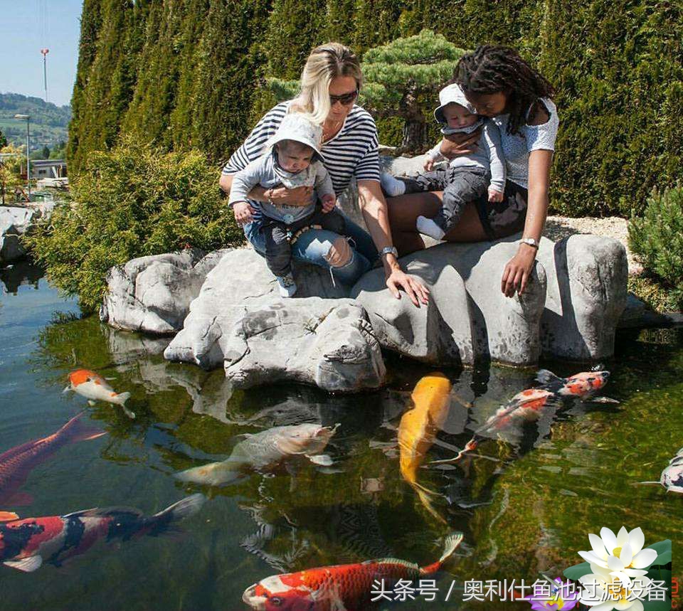 渔夫与美人鱼的故事,美人鱼和小鱼的故事文字