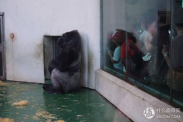 索尼a6000微单使用教程,索尼a6000微单相机新手教程