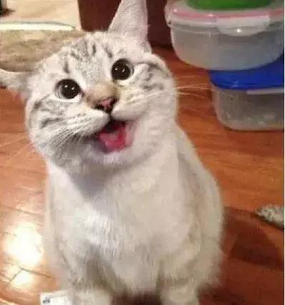 石家庄高中放假时间2022寒假通知,石家庄高校寒假放假最新通告