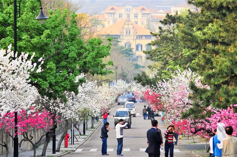 自驾游青岛自由行详细攻略,自由行青岛如何出行