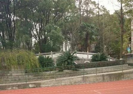 匆匆那年怀念学校,匆匆那年校园回忆