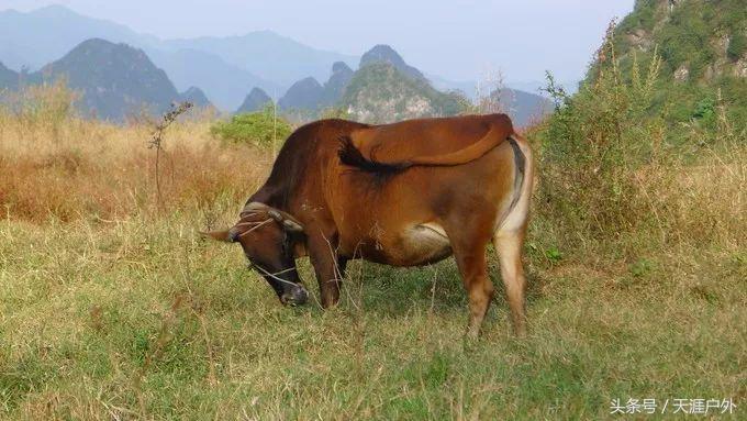广东小桂林之称的风景胜地,号称小桂林的地方