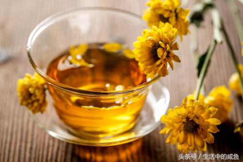 上火可以喝什么茶去火,牙痛上火喝什么茶能去火