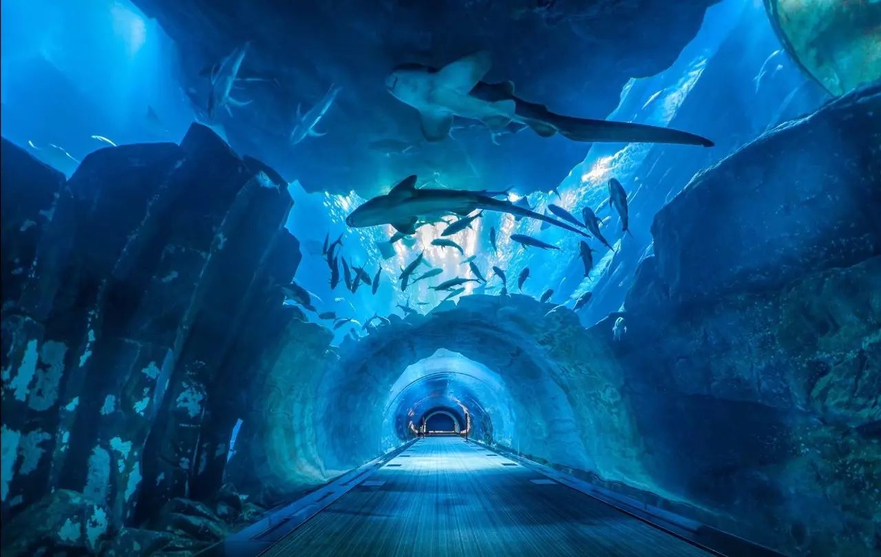 超详细迪拜21小时转机攻略 (迪拜转机有3个小时攻略吗)