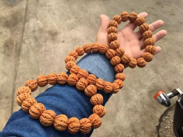 三种常见的核桃串,野生小核桃串什么样的好