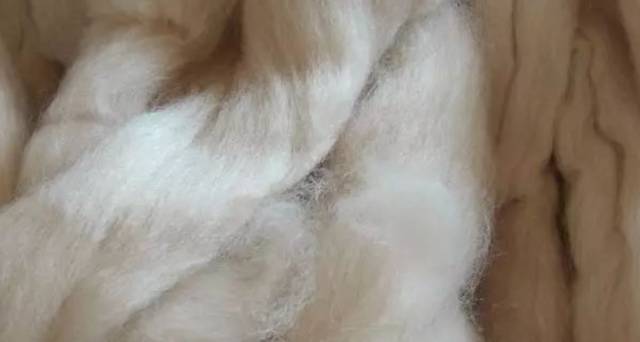 迪奥羊绒围巾真假辨别,burberry围巾真假鉴别