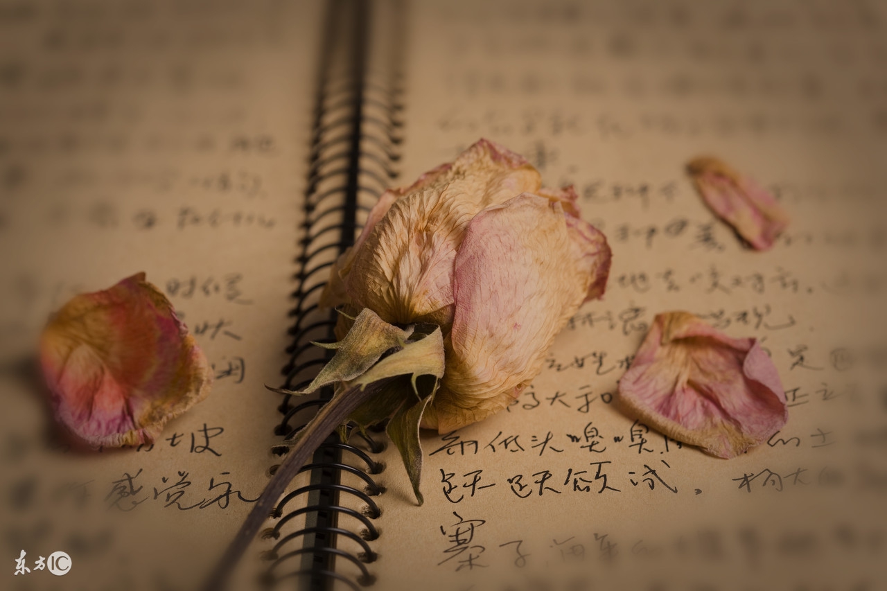 教师资格结构化面试必背十大口诀,教师证独特记忆法