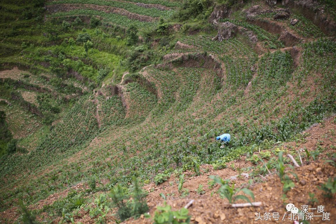 鹿晗泥坑,鹿晗在泥坑里