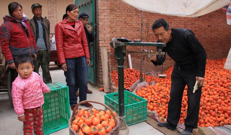 100个小成本适合农村创业的小方法,最有发展前景的农村创业点子推荐