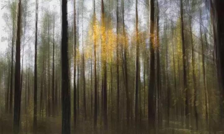 渡边淳一的双面人,渡边淳一最值得看的电影