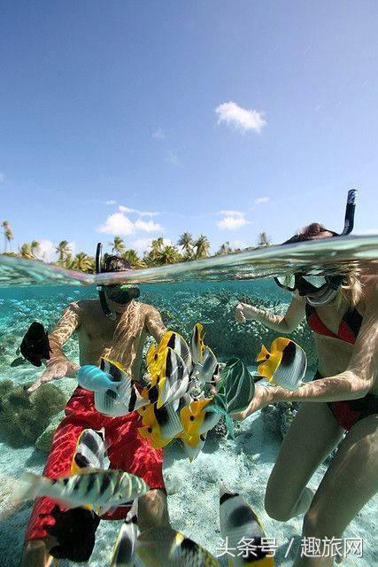 高更最后的大溪地,高更经历
