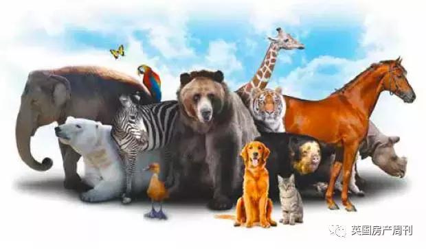 从《王牌特工》的标配西装,到全球互联网,英国贡献了哪些礼物?