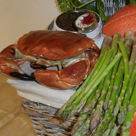 精致猫咪必备品有哪些种类,这几种猫咪养得起的都是土豪