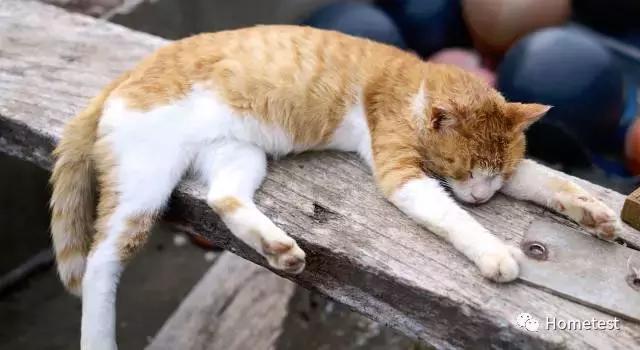 日本空气口罩测评,重松哪一款防尘口罩好用