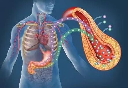 中国超半数成年人处糖尿病前期,1型糖尿病患者发病的重要病因