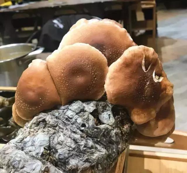 天冷了，一家一家吃起来，这些大连今年新开的网红火锅店