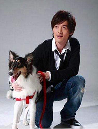 怎么梳出明星同款无碎发发型,明星发型女短碎发