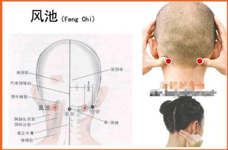 打通全身淤堵的穴位,十大重要穴位收藏