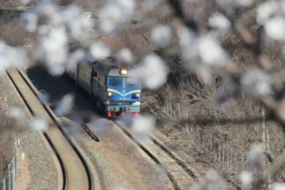 开往春天的列车，我们看图就行了
