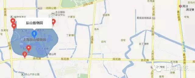 看樱花不用远赴日本,看樱花不用去武汉关庙也可以看