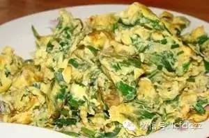 春季野菜采摘图解高清图片,春季野菜多种做法