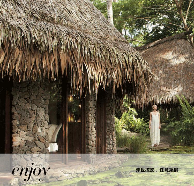 SPA出没，量身定制焕然新生