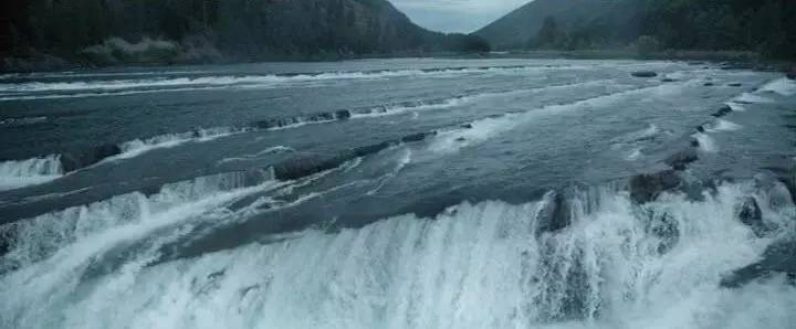 想不想跟着小李子体验“荒野猎人”一日游？