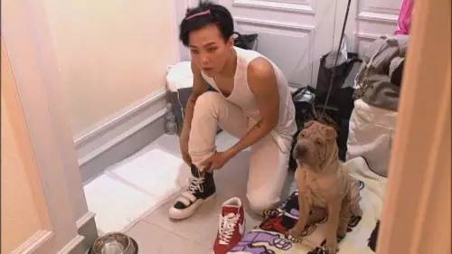 权志龙鞋子小雏菊3.0混色,权志龙鞋子直播完整视频