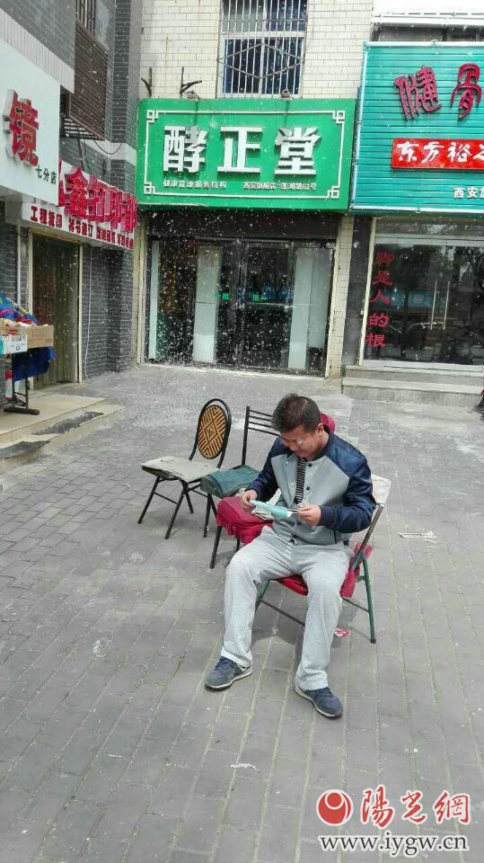 给柳树杨树打针,给杨树打避孕针