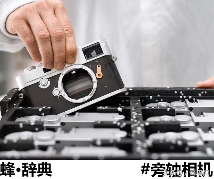 蜂辞典最新视频,蜂辞典摄影效果