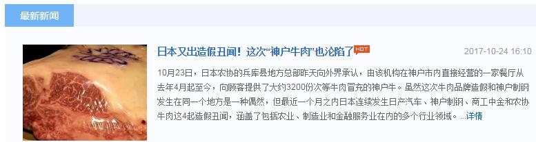 日产道歉,日产造假风波