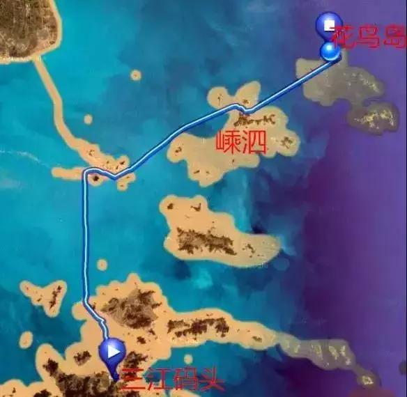 花鸟岛海岛游,花鸟岛海岛旅游