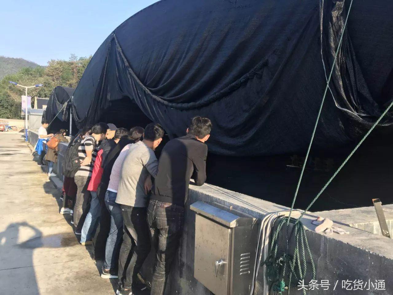 驱车4小时，终于品尝到传说中的“鱼子酱”！带你深挖背后的故事