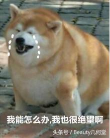 omg玩美咖抗老精华,omg这是什么神仙颜值啊