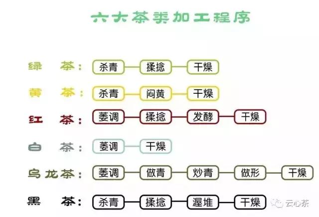 一张图学会七大茶系分类,介绍中国六大茶系的视频